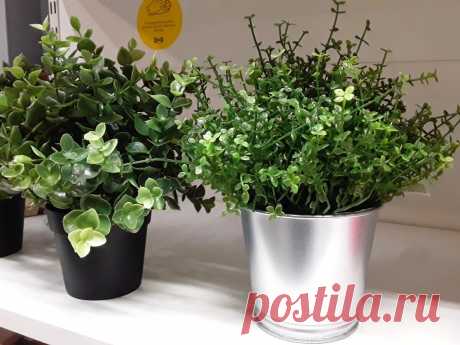 Для тех, кто любит "мимишность" в дизайне квартиры :) Цветы IKEA... искусственные и живые! | Дизайнер интерьера & Любитель | Яндекс Дзен