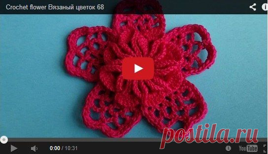Очаровательный цветок (видео)