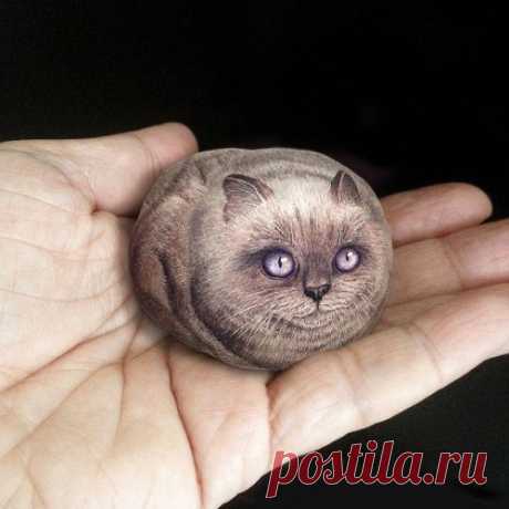 Миниатюрные животные на камнях