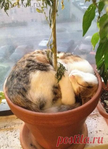 Уютное местечко