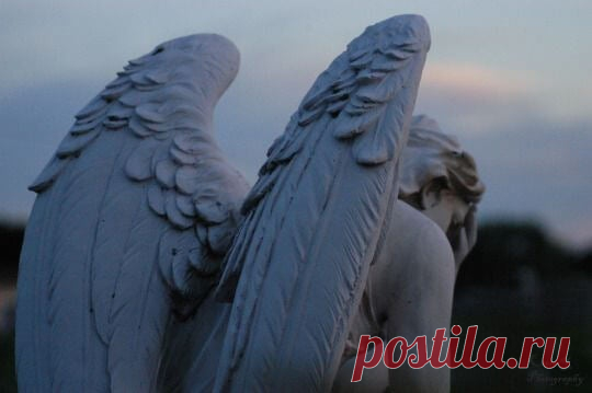 Может ли Ангел-Хранитель покинуть человека. Признаки и причины
Может ли Ангел-Хранитель покинуть человека. Признаки и причины «Нас посещают ангелы, но мы узнаем лишь после того, как они отлетают прочь», — так писал Джордж Элиот. Как понять, что ангелы улетели? Может ли Ангел покинуть человека? Ведь об этом спрашивают иногда. И говорят: «мне кажется, мой Ангел покинул меня!». И перечисляют признаки того, что Ангела […]
Читай дальше на сайте. Жми подробнее ➡