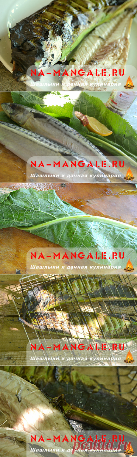 Запеченная скумбрия на решетке - рецепт для мангала