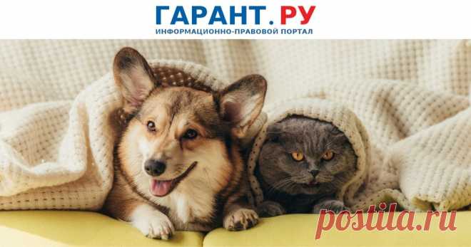 2023-В ГПК РФ могут установить ЗАПРЕТ ИЗЪЯТИЯ у граждан ДОМАШНИХ ЖИВОТНЫХ по исполнительным документам Домашних питомцев (кошек, собак и других) предлагается включить в перечень имущества, на которое не может быть обращено взыскание по долговым обязательствам.