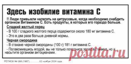 Здесь изобилие витамина С