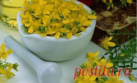 11 советов, которые спасут вам жизнь - МирТесен