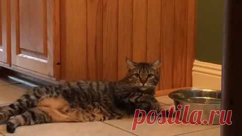(17) Facebook