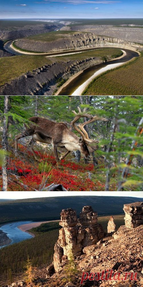 Плато Анабар, Россия