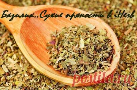 iHerb
🍃 Базилик... Сухие пряности в iHerb
https://iherb.co/2CnsHyj3

🍃 Полезные свойства сушёного базилика:
Противовоспалительное;
Антибактериальное;
Препятствует старению клеток кожи;
Способствует регенерации клеток эпидермиса и слизистой;
Полезен для зрения;
Улучшает работу сердца;
Насыщает клетки крови кислородом;
Формирует костную ткань;
Отвар из сушеных листьев базилика станет профилактикой заболеваний горла, полости рта и всех слизистых сред организма
.