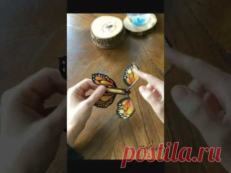 Batterfly Effekt