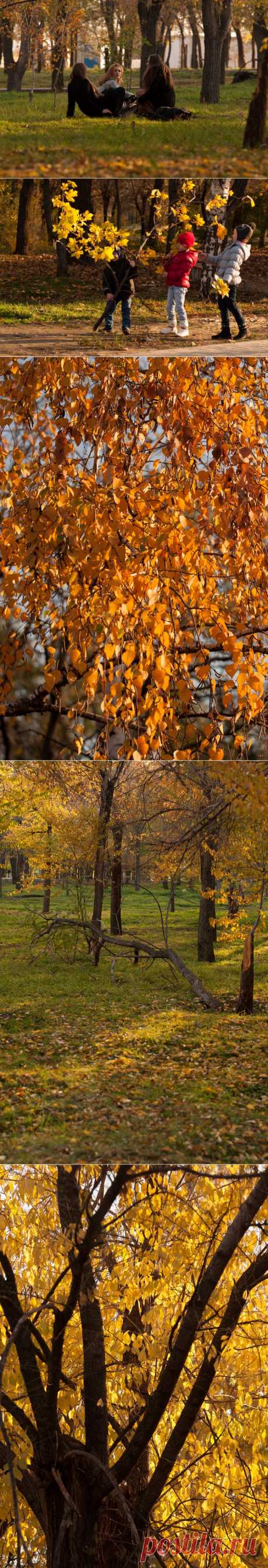 Что нового у друзей liudm.se2012 — я.ру