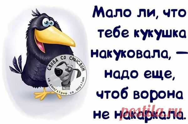 Весёлые открытки для хорошего настроения