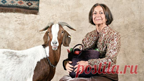 ХАЛА НА ЗАКВАСКЕ