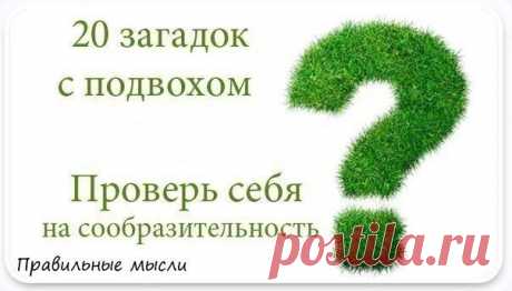 20 ЗАГАДОК С ПОДВОХОМ / Восприятие бизнеса