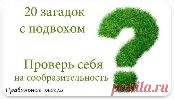 20 ЗАГАДОК С ПОДВОХОМ / Восприятие бизнеса