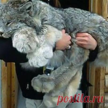 Фотографии природы, которые вы просто обязаны увидеть, такие они классные!