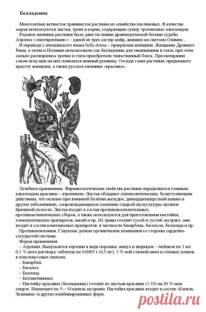 Белладонна (красавка).
«Уникальные лечебные свойства сорняков»  Корсун В.Ф., Викторов В.К.