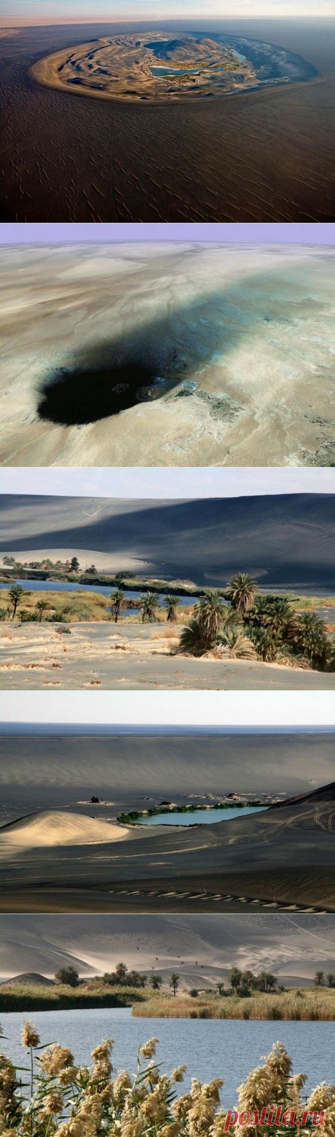 Вау-ан-Намус. Оазис в кратере - Путешествуем вместе