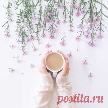 Доброе Утро, Друзья!!!💋