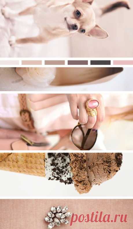 seed; Moodboards