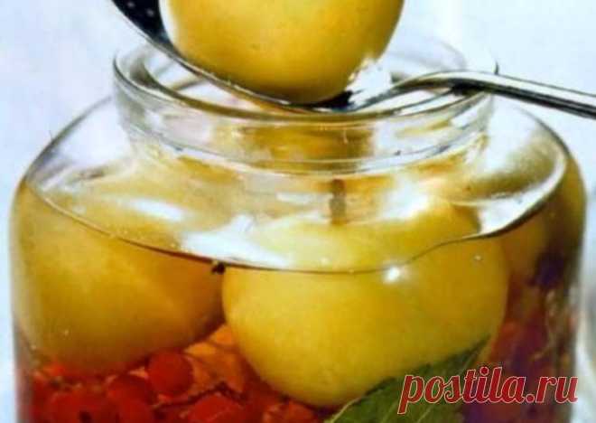 Яблоки, маринованные с красной смородиной - пошаговый рецепт с фото. Автор рецепта Александр 🏖 директор Cookpad в кулинарном отпуске . - Cookpad