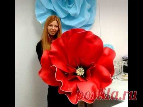 DIY: #Мастер класс- большие цветы из изолона( #фоамирана).How to Make GIANT Tissue Paper   #1