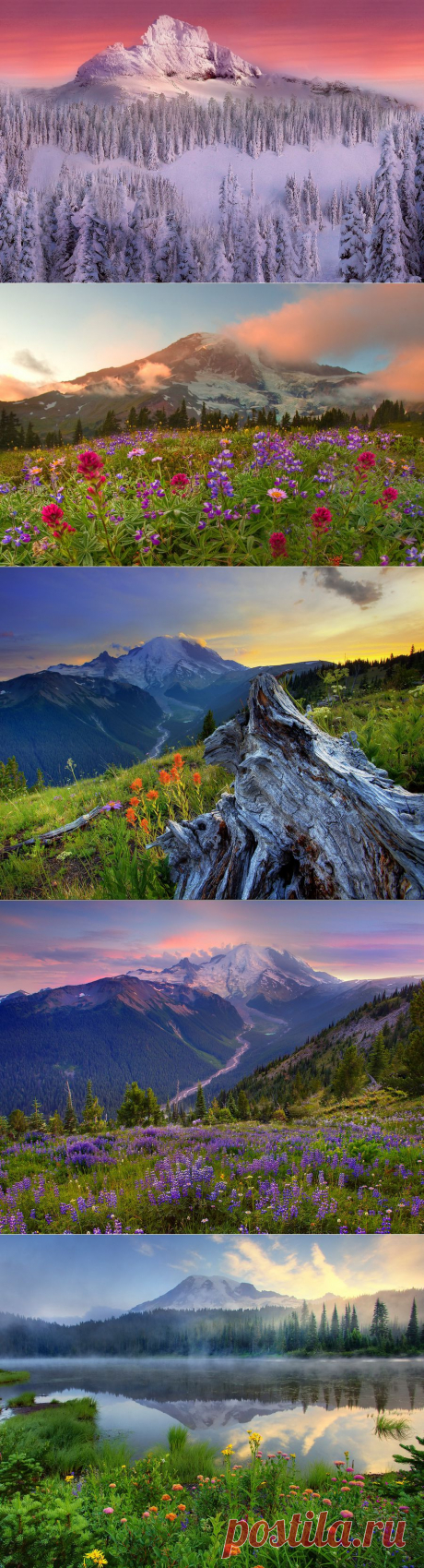 Национальный парк Олимпик (Olympic National Park), США | Newpix.ru - позитивный интернет-журнал