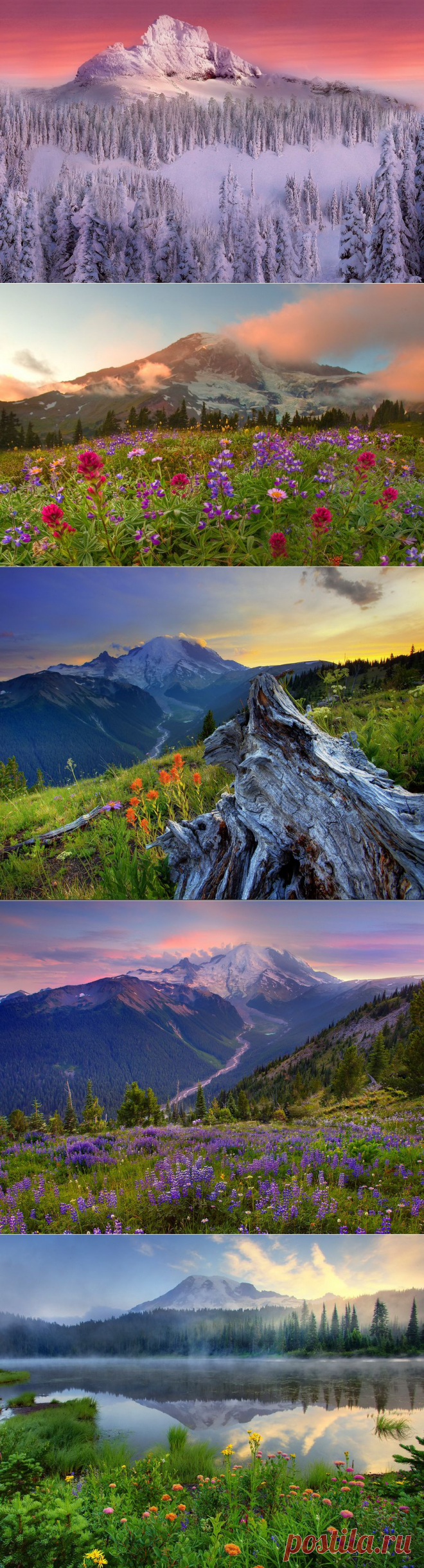 Национальный парк Олимпик (Olympic National Park), США | Newpix.ru - позитивный интернет-журнал