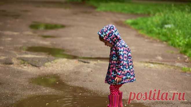 В Белгороде занимаются устранением последствий непогоды. Из-за сильного ветра в Белгороде оказались повалены свыше 80 деревьев, повреждено больше 10 машин. Об этом заявил в официальном Telegram-канале мэр города Валентин Демидов. "Всего к этому времени поступило 82 сообщения о поваленных ...