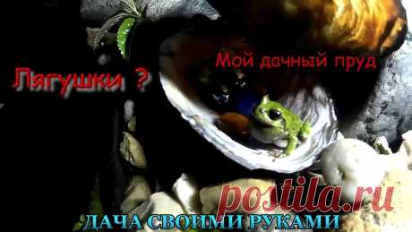 Мой дачный пруд. Где живут лягушки. Почтим минутой молчания умерших головастиков. Представляете. если бы все они выжили. Если кто знает, отличие между головастиками жаб и головастиками лягушек,...
