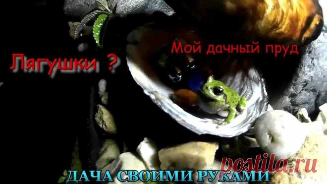 Мой дачный пруд. Где живут лягушки. Почтим минутой молчания умерших головастиков. Представляете. если бы все они выжили. Если кто знает, отличие между головастиками жаб и головастиками лягушек,...