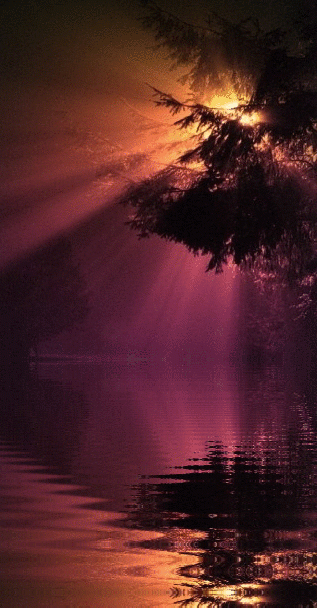★ mine is the night, with all her stars ★