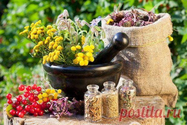 Лечение кожных заболеваний народными средствами / Будьте здоровы