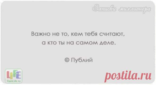 15478-8d742da9_800.jpg (800×438)