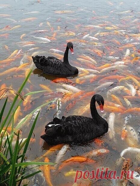 Клёвое место! ... ;)