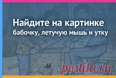 Найдите бабочку, летучую мышь и утку на картинке