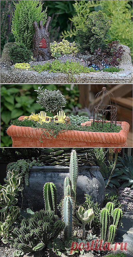 Миниатюрные сады.