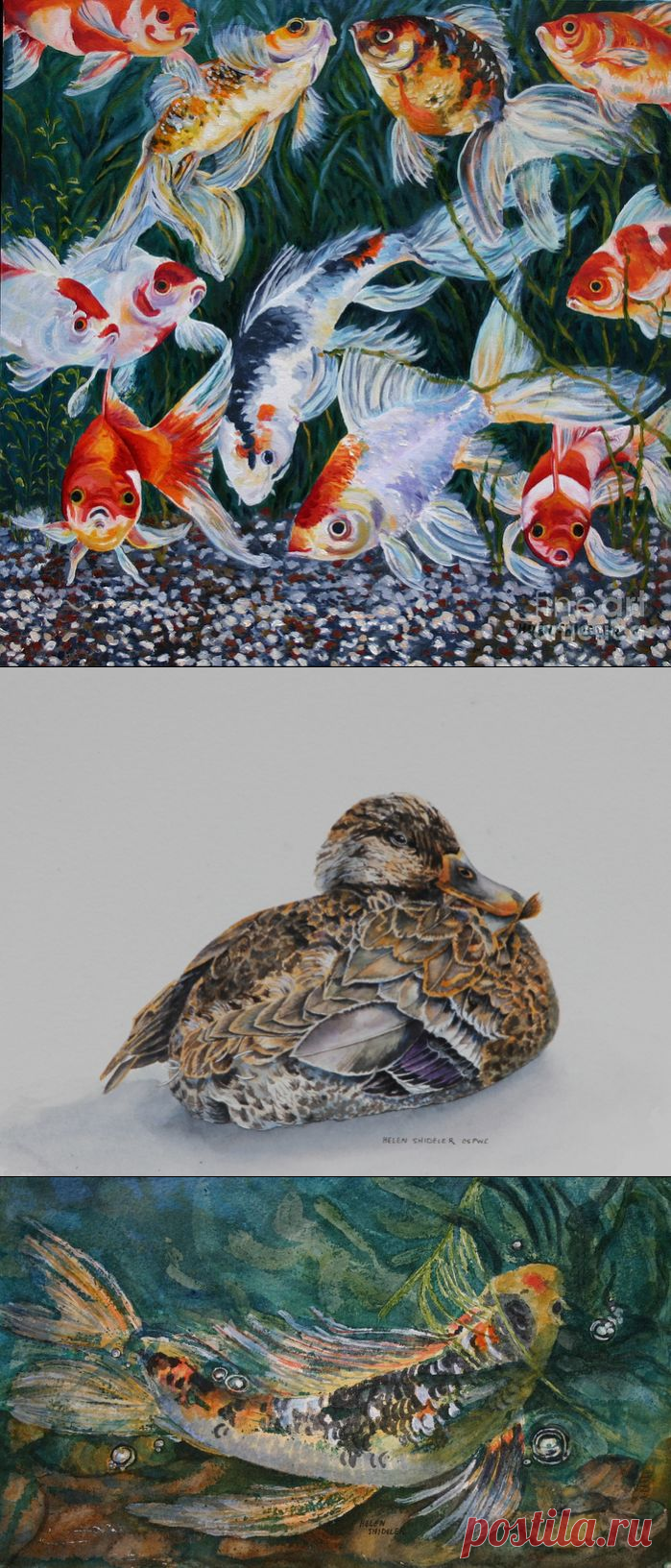 Чудесные акварели Helen Shideler