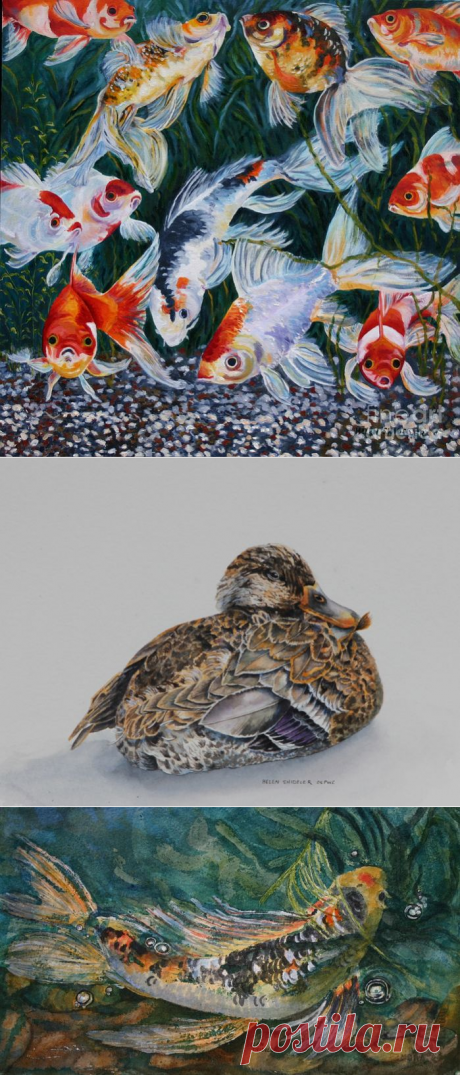 Чудесные акварели Helen Shideler