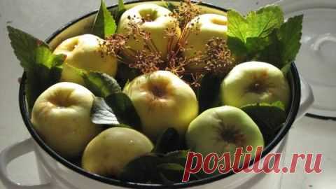 Старинных русские рецепты моченых яблок