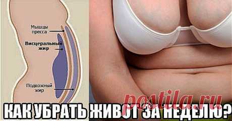 Секреты идеальной хозяйки