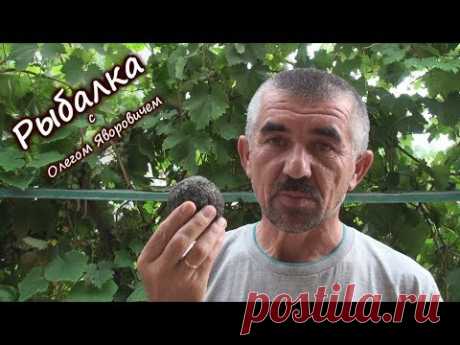 Секретная приманка для рыбалки.