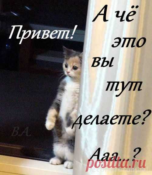 ✔ Открытки - Самые Красивые!
