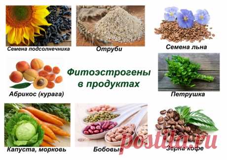Название: Эстроген — гормон женской молодости. В каких продуктах содержится. |  ВКонтакте Найдено в Google. Источник: vk.com