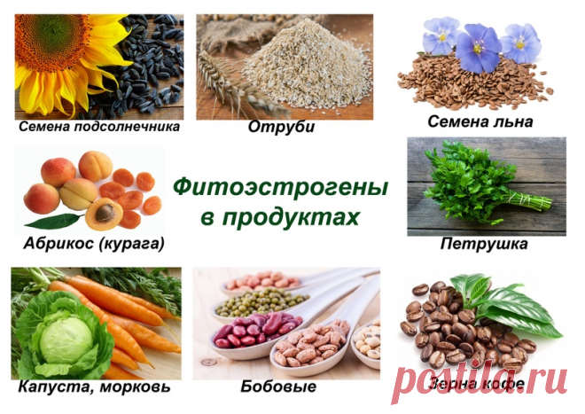 Название: Эстроген — гормон женской молодости. В каких продуктах содержится. |  ВКонтакте Найдено в Google. Источник: vk.com