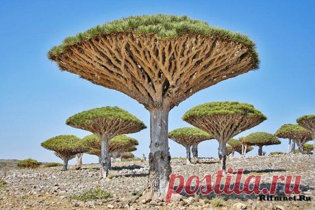 Интересные факты » Страница 3