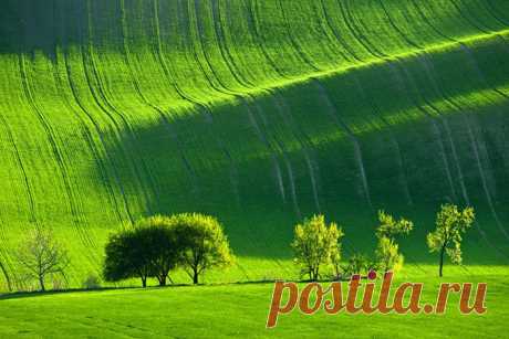 красивые фото природы и животных | Красивые фото