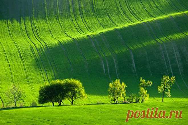 красивые фото природы и животных | Красивые фото