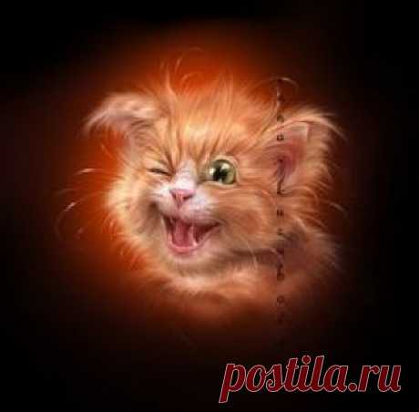 Чеширский Кот