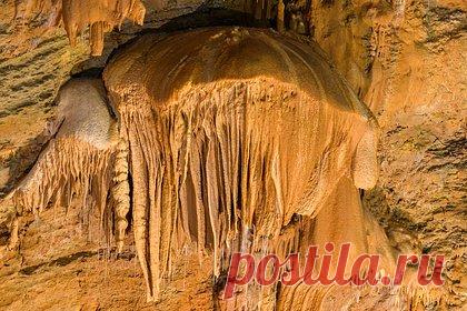 В Крыму открыли палеонтологическую экспозицию. Пещеру «Ялтинская» в Крыму открыли для посещения. Об этом сообщил начальник отдела познавательного туризма ФГБУ «Заповедный Крым» Сергей Клушин. Отмечается, что в ней будет размещена палеонтологическая экспозиция. Посетителям пещеры продемонстрируют окаменелостями юрского периода.