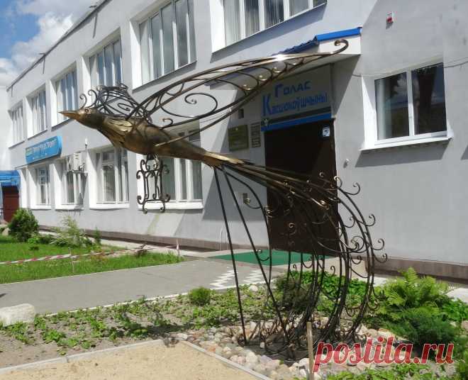 #птица  #Костюковичи Могилевская обл